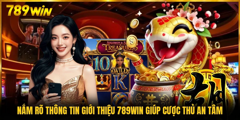 Nắm rõ thông tin giới thiệu 789WIN giúp cược thủ an tâm